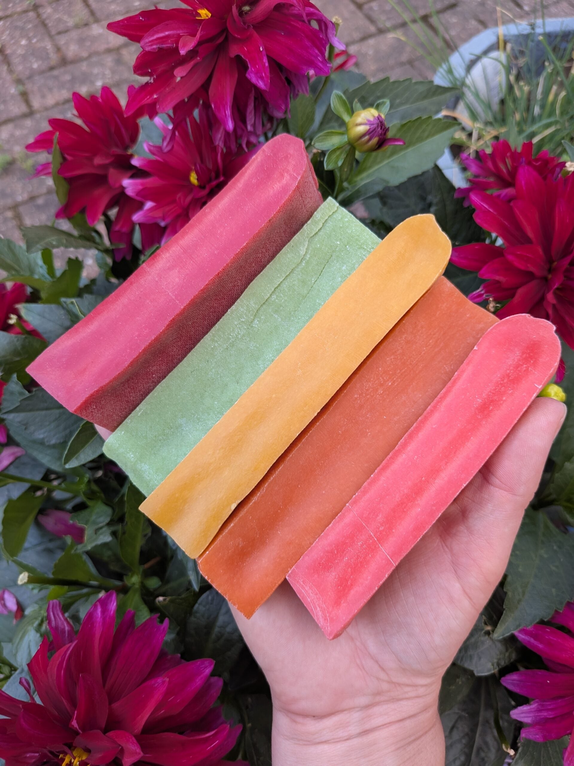 Strawberry Yak Chew Medium image 4