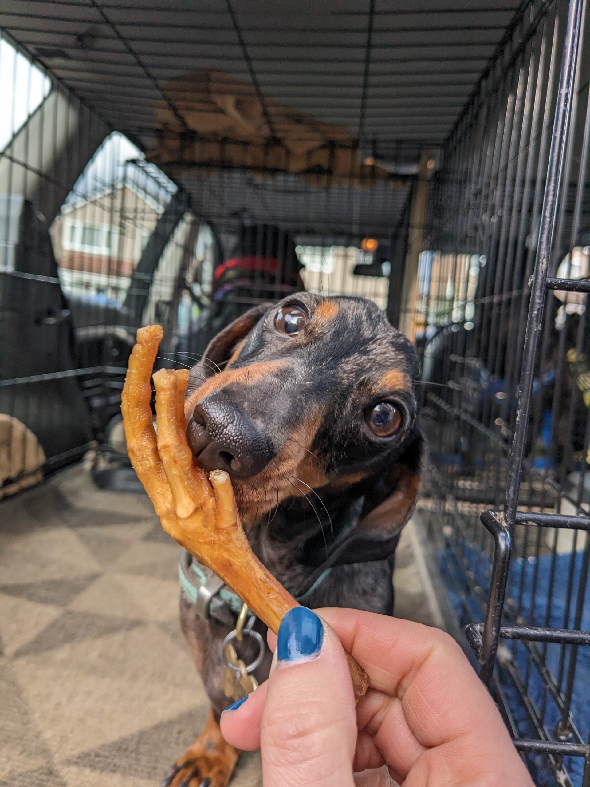 Chicken Feet 300g image 4