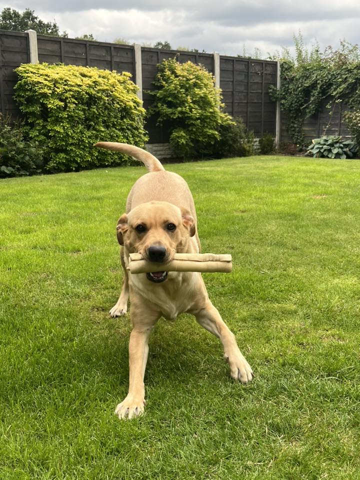 Jumbo Buffalo Roll image 1