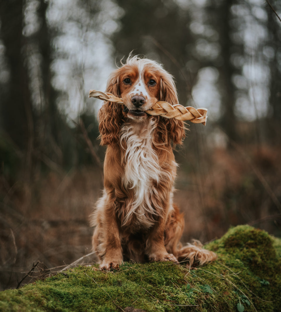Lamb Braids (three pack) image 1