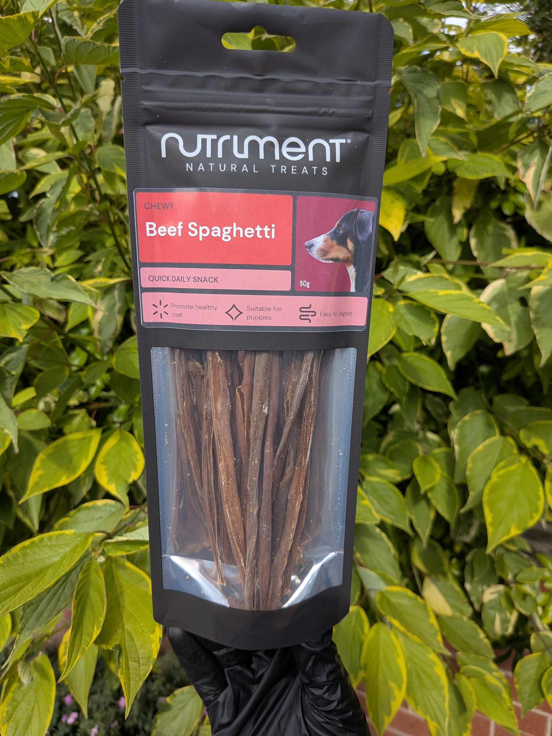 Beef Spaghetti image 0