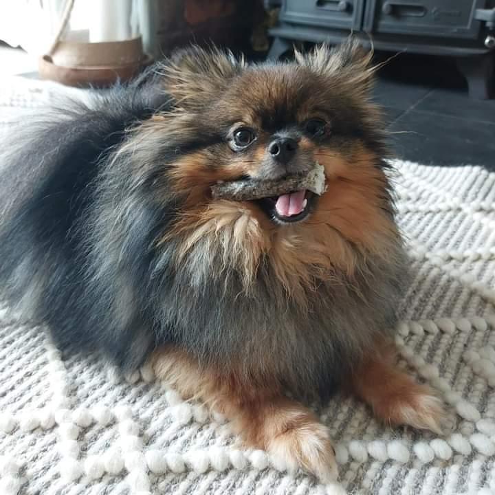 Salmon Sticks image 1