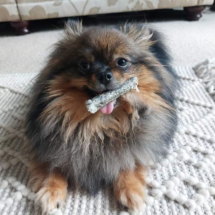 Salmon Sticks image 2