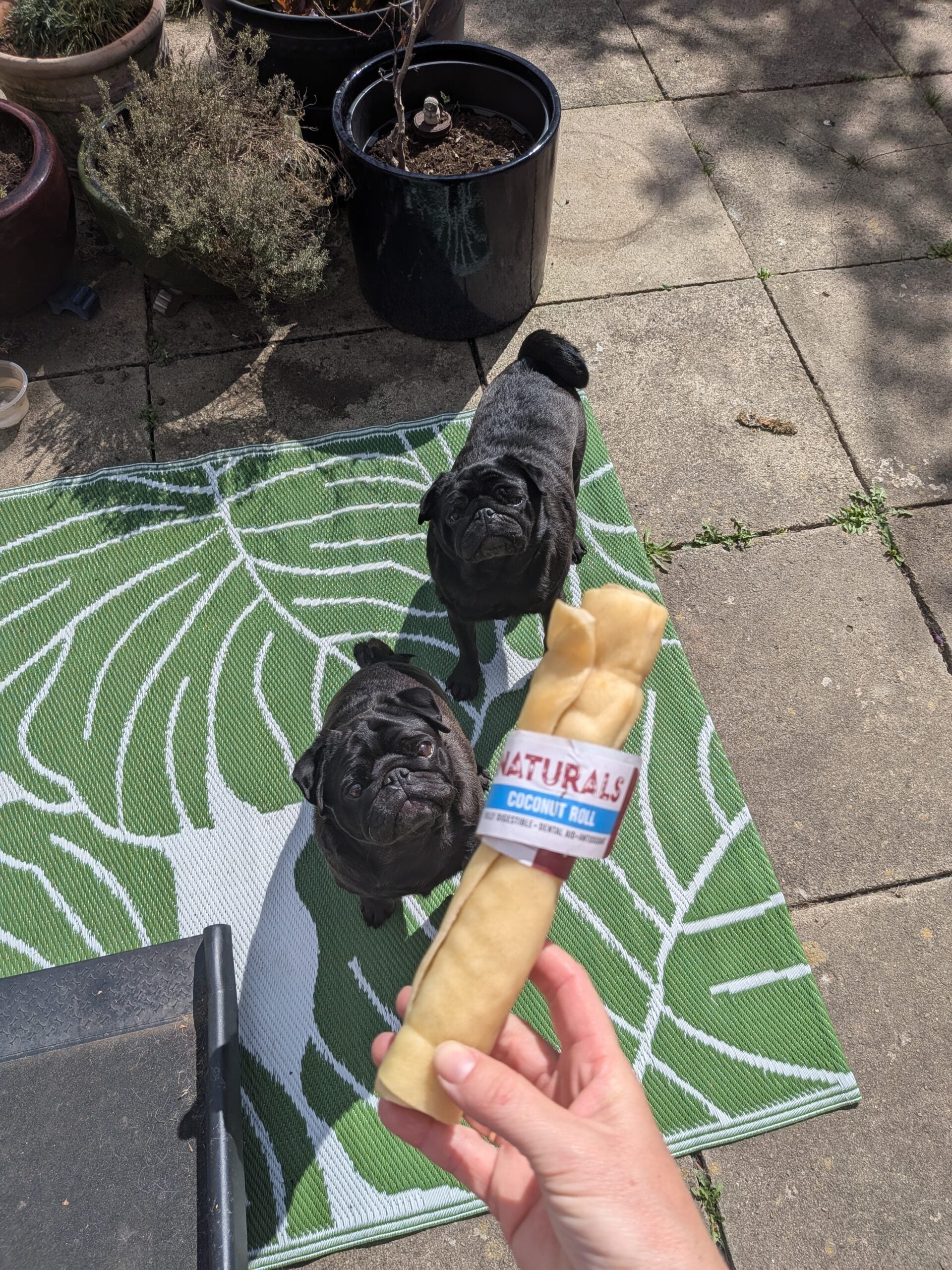 Coconut Bully Roll image 2