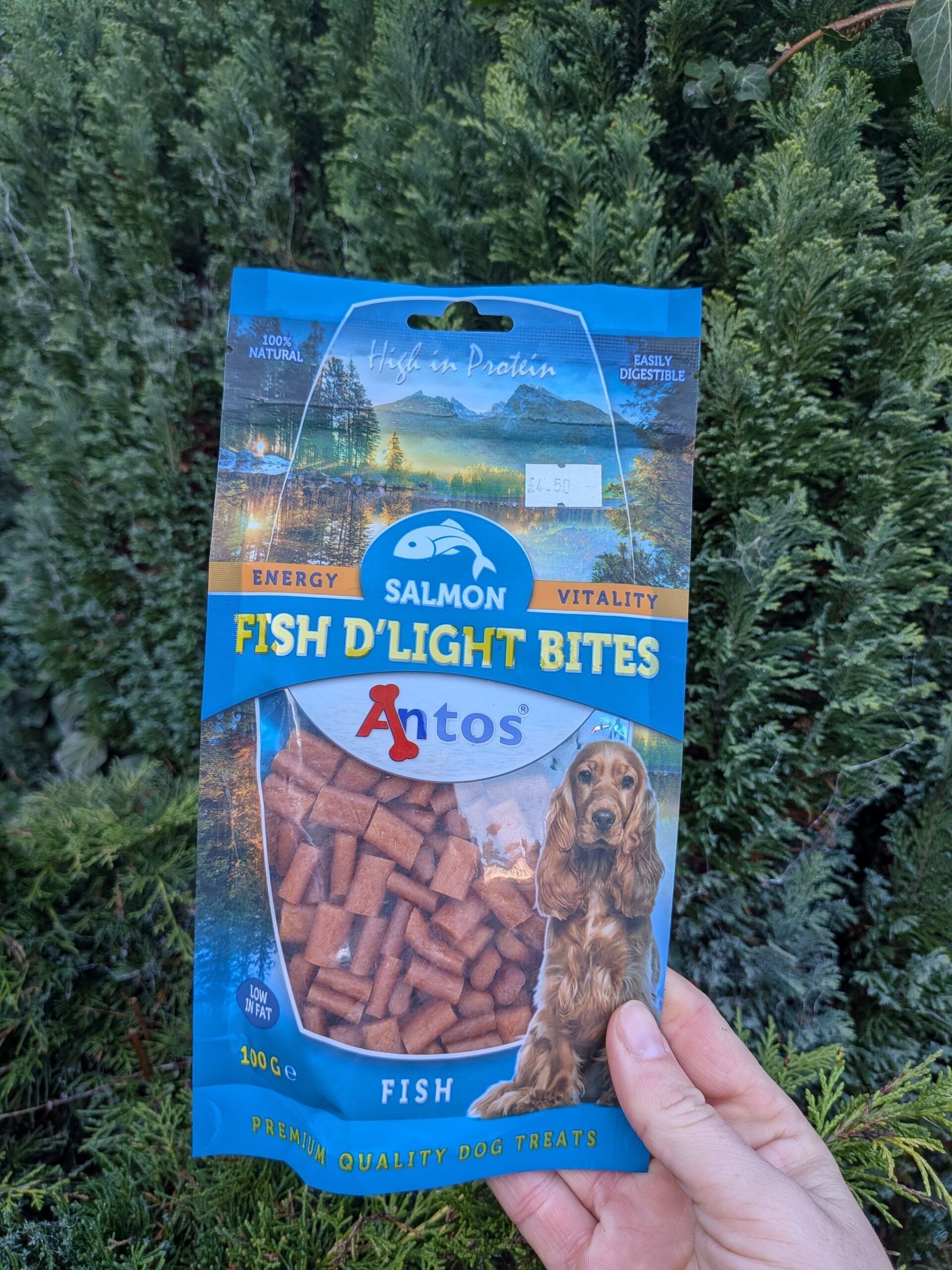 Salmon Training Treats image 0