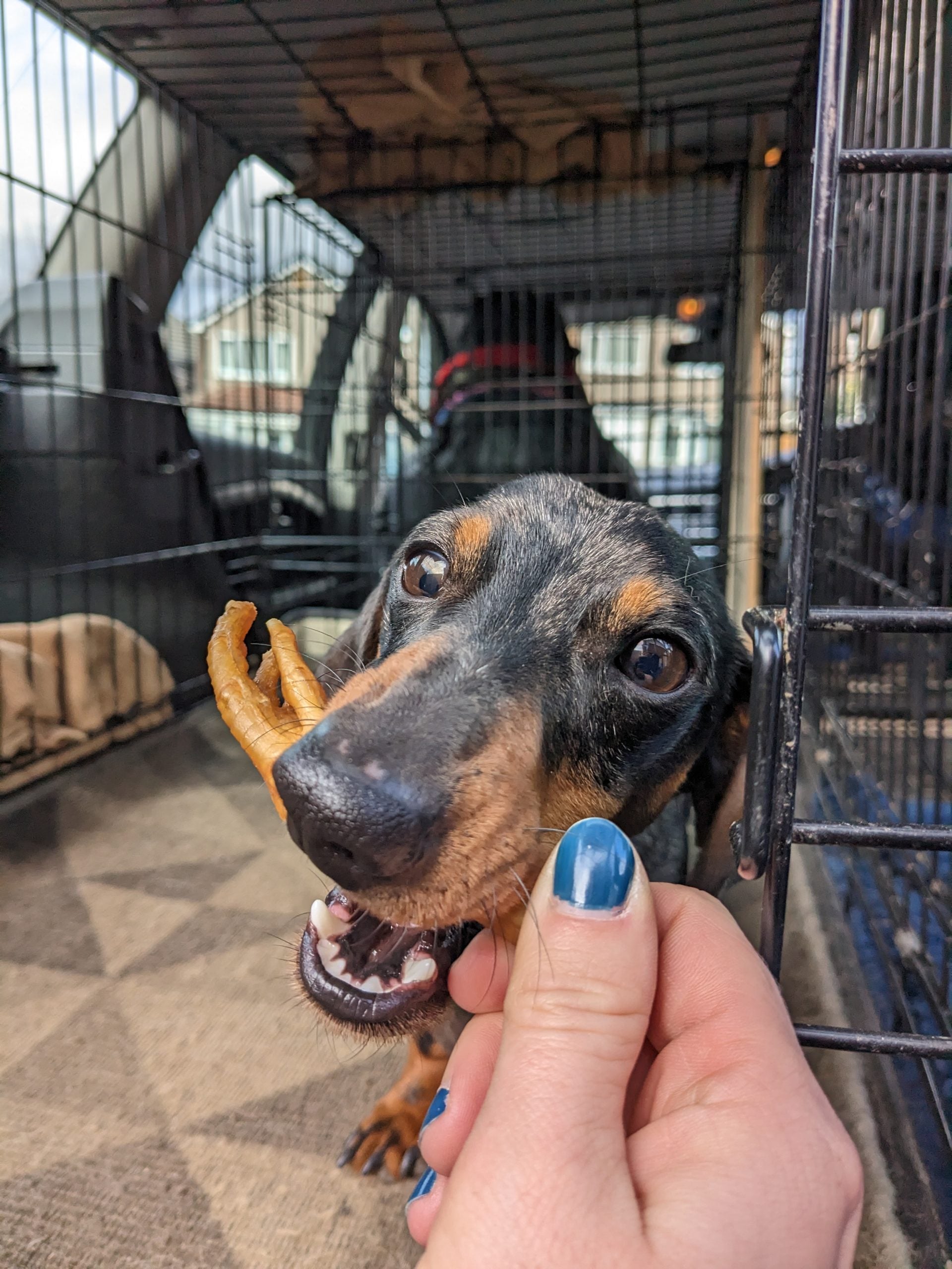 Chicken Feet 300g image 3