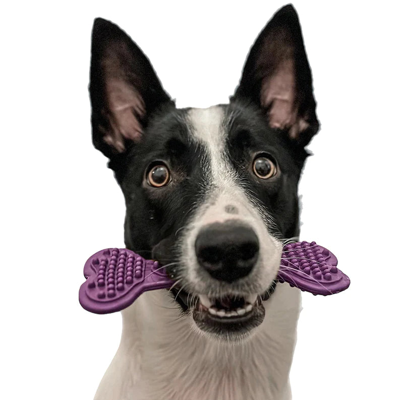 Large Veggie BumpiBones (two pack) image 4