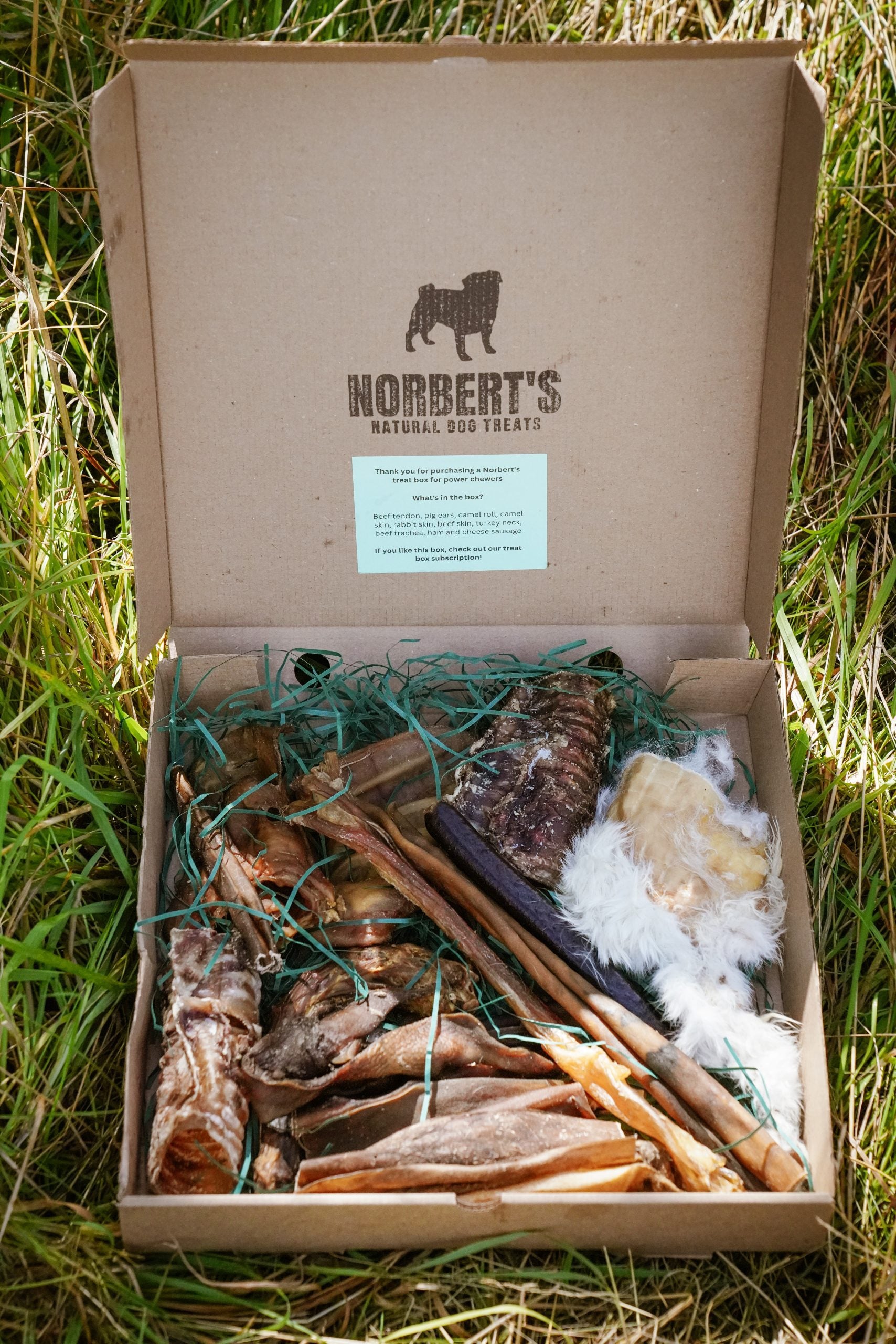 Monthly Power Chewers Subscription Box for One Dog image 0