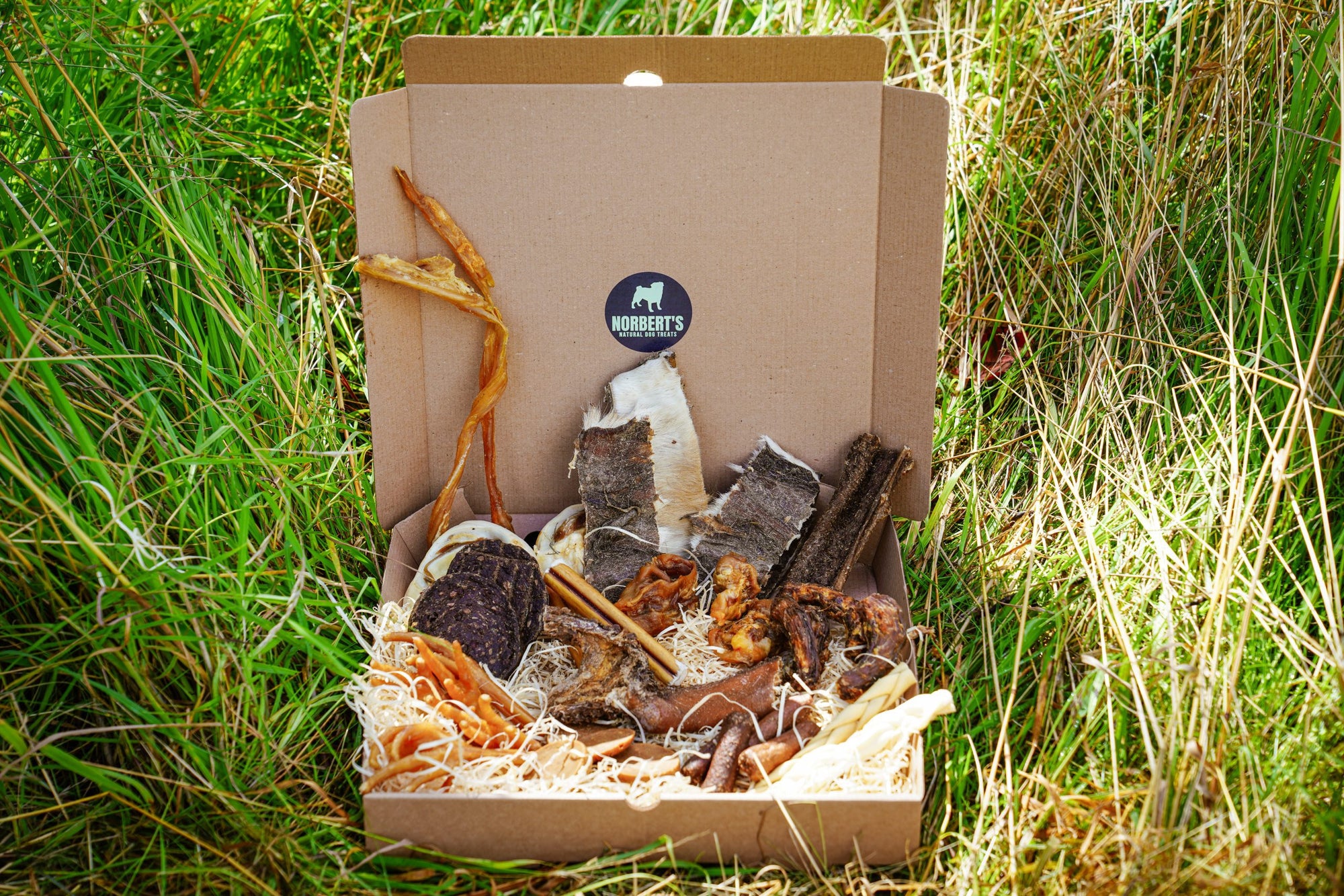 Monthly Variety Subscription Box for One Dog image 0