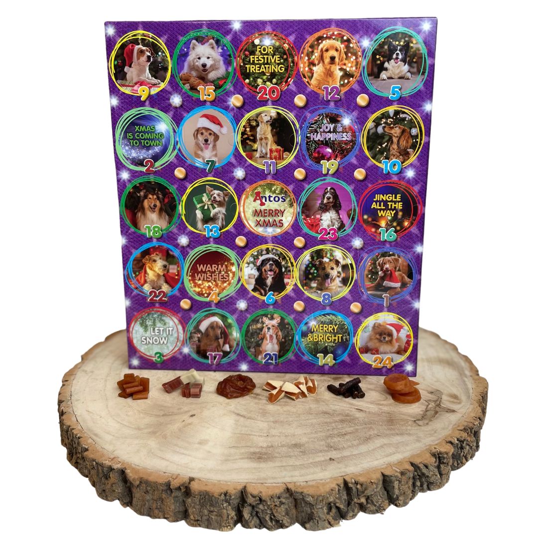 Christmas Advent Calendar For Dogs