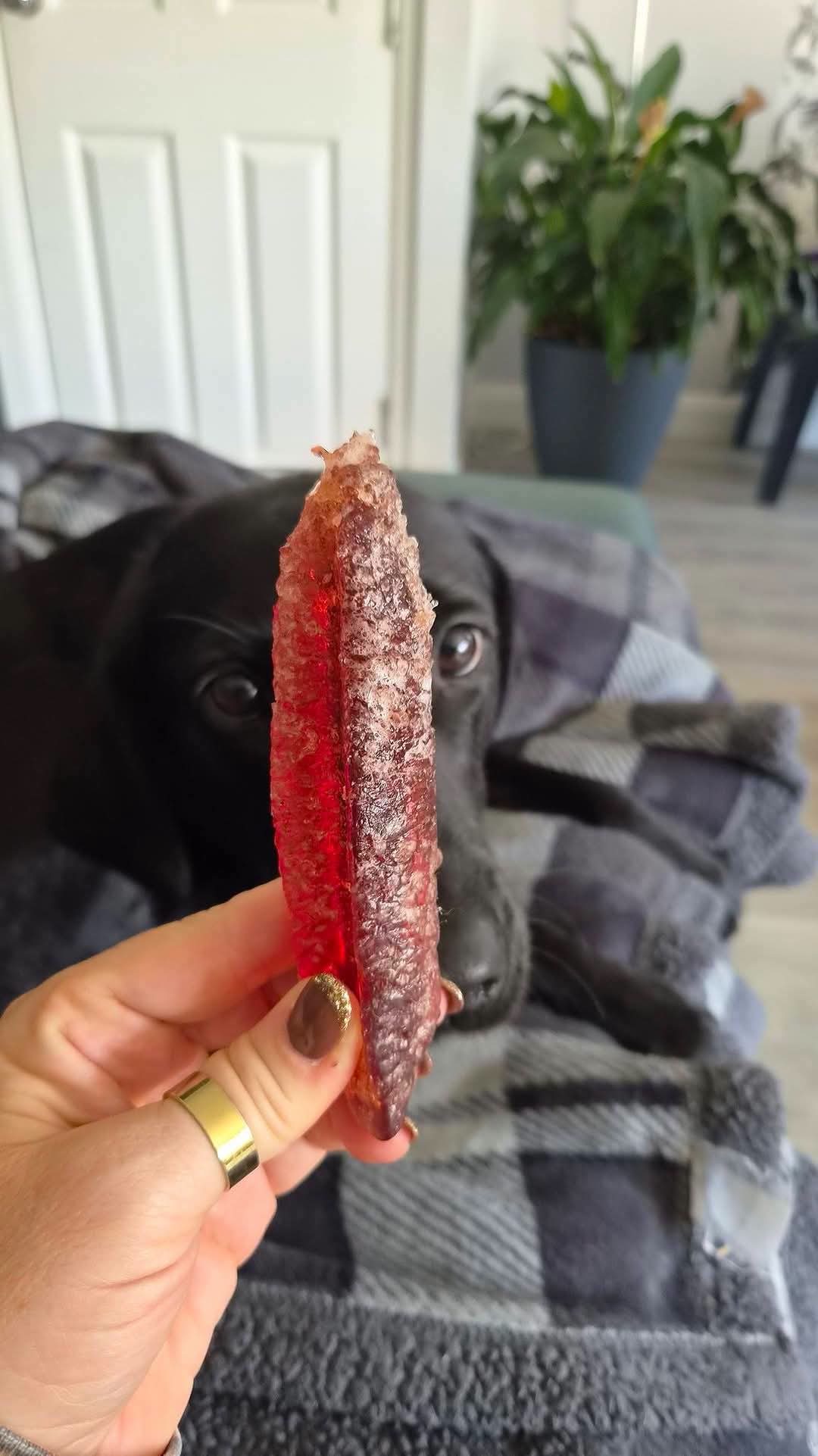 Beef Liver Wonder Bar