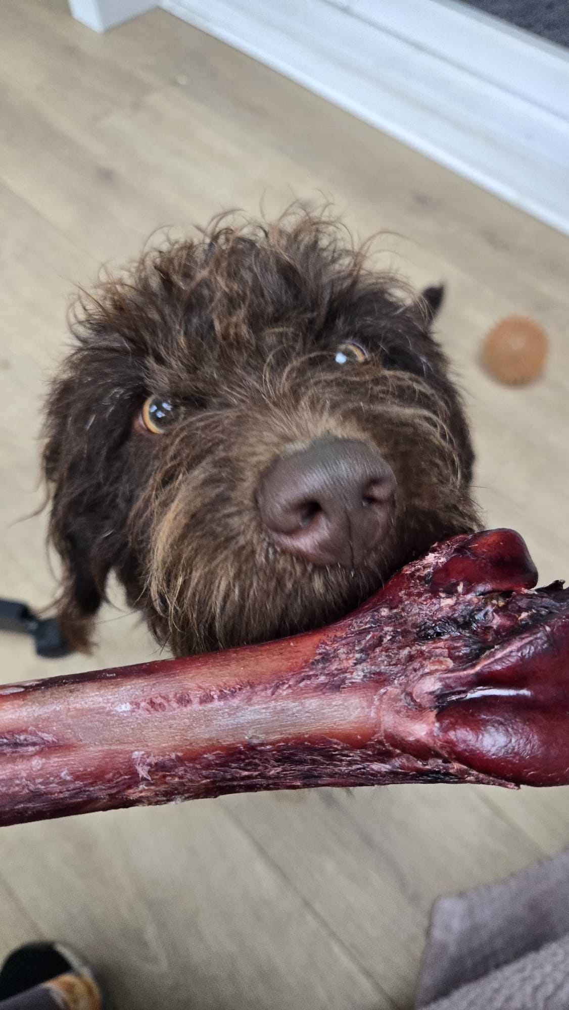Ostrich Bone Medium