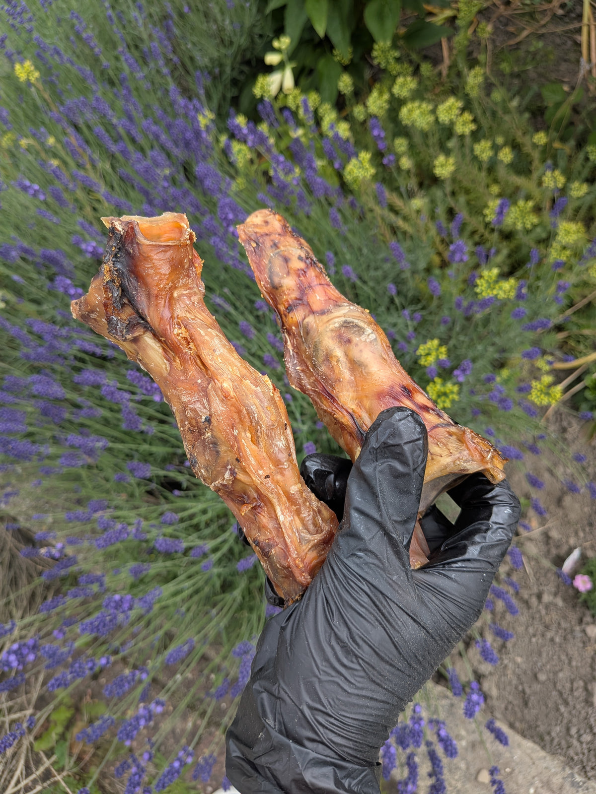 Large Ostrich Foot