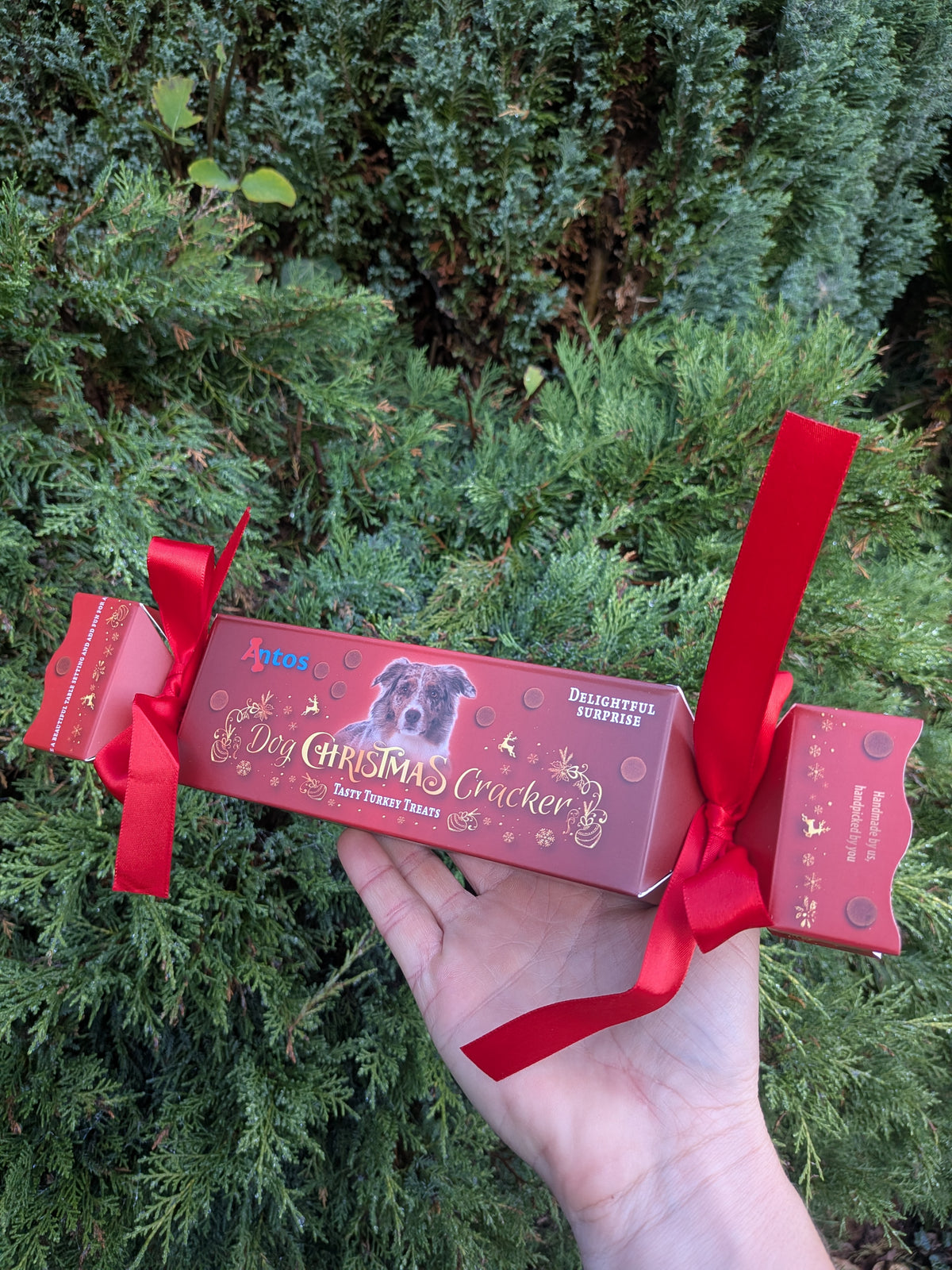 Christmas Cracker For Dogs