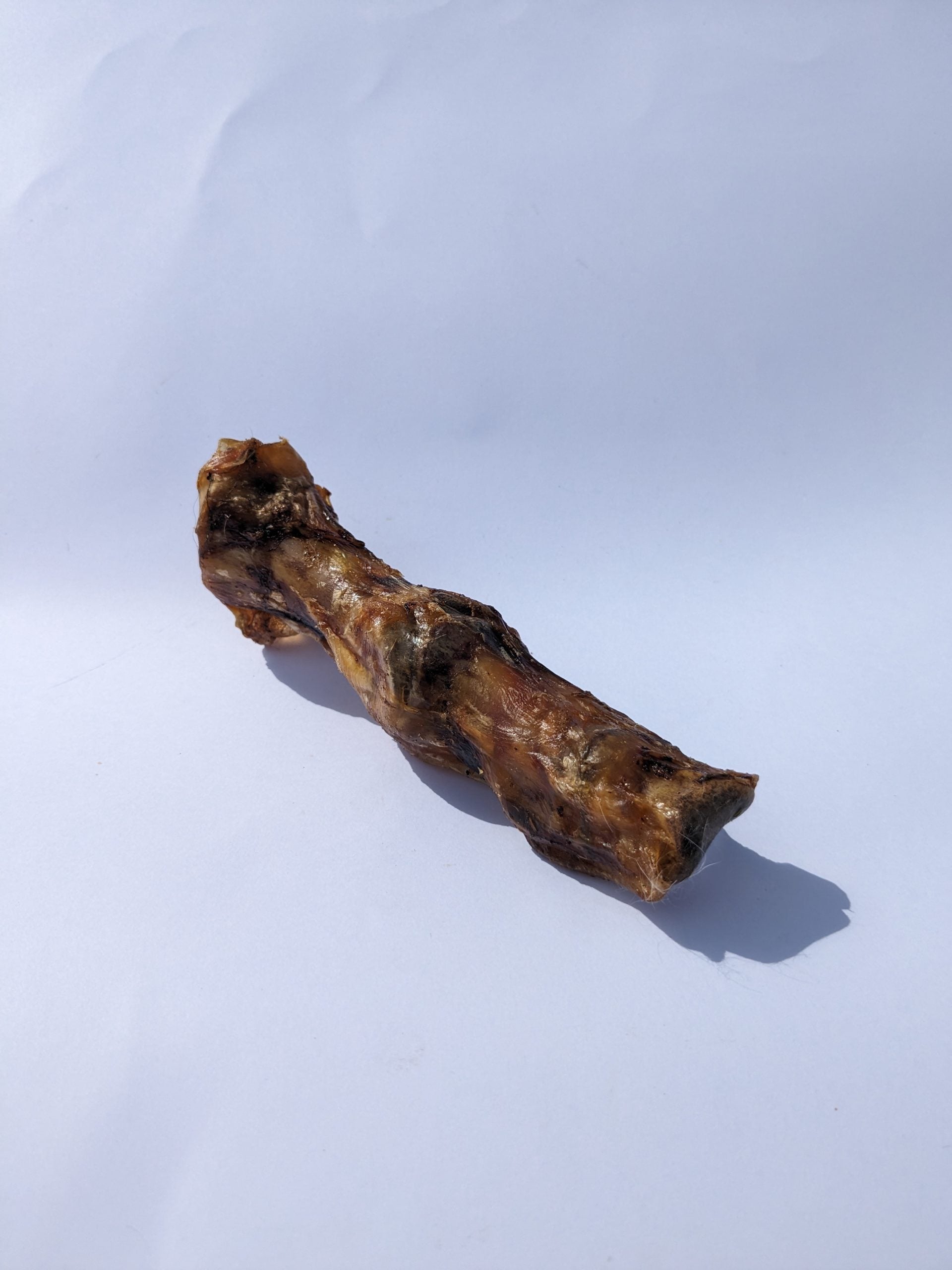 Large Ostrich Foot image 0