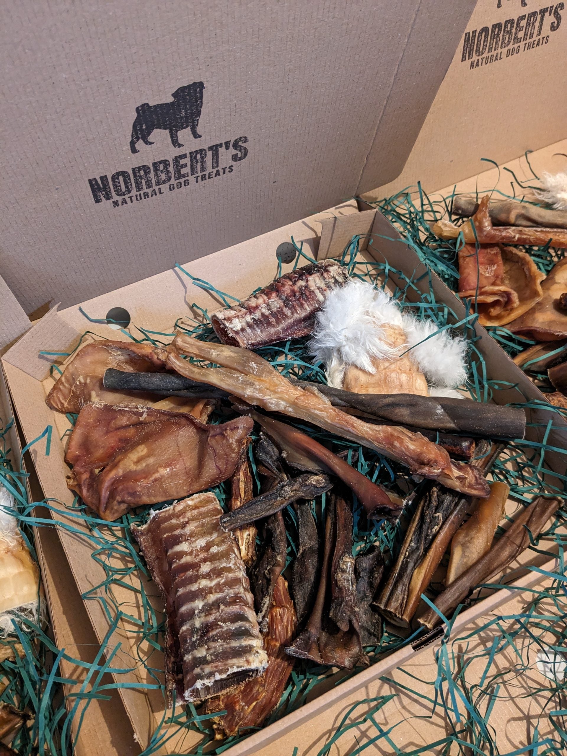 Treat Box for Power Chewers image 0