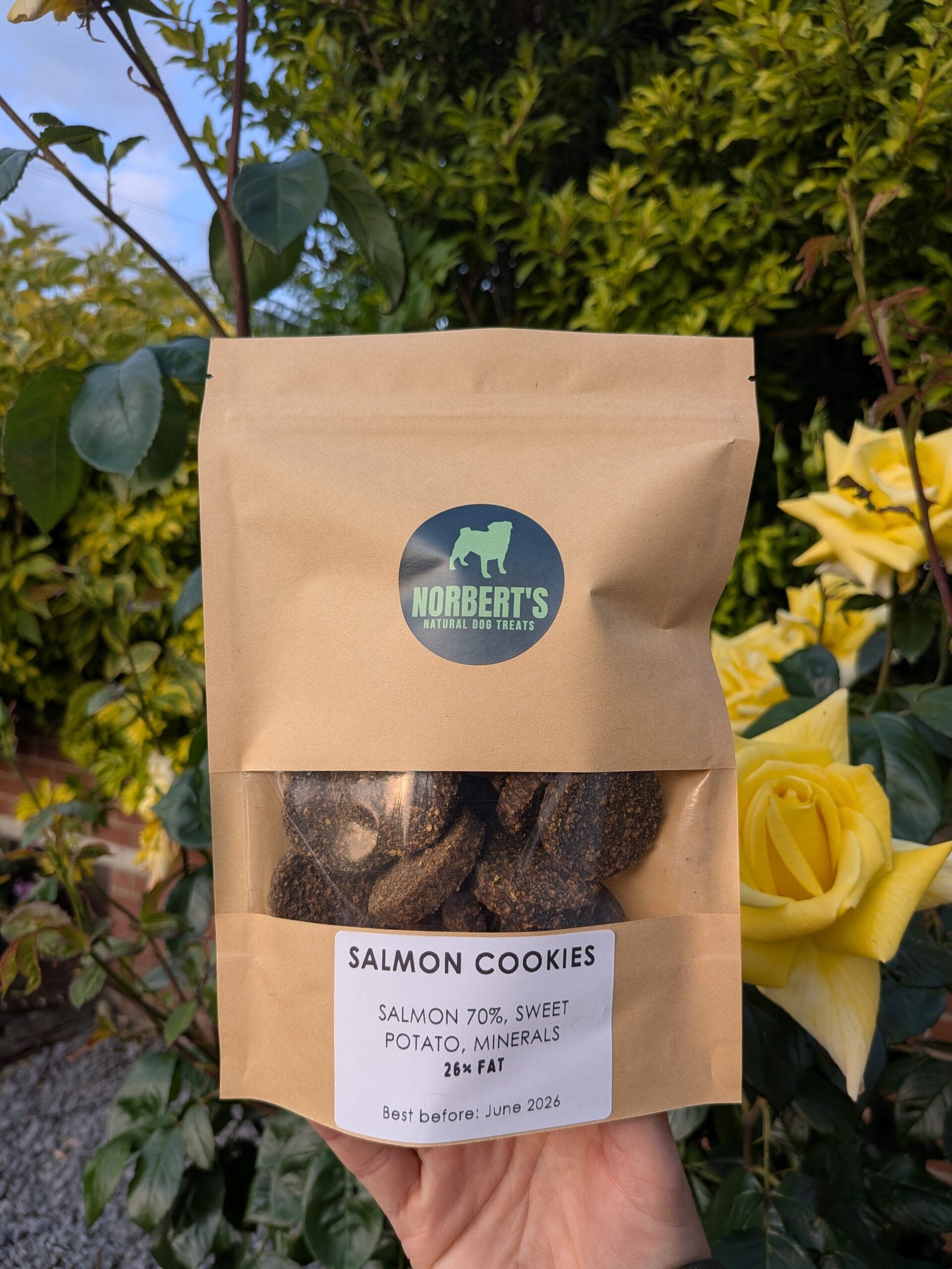 Salmon Cookies image 0