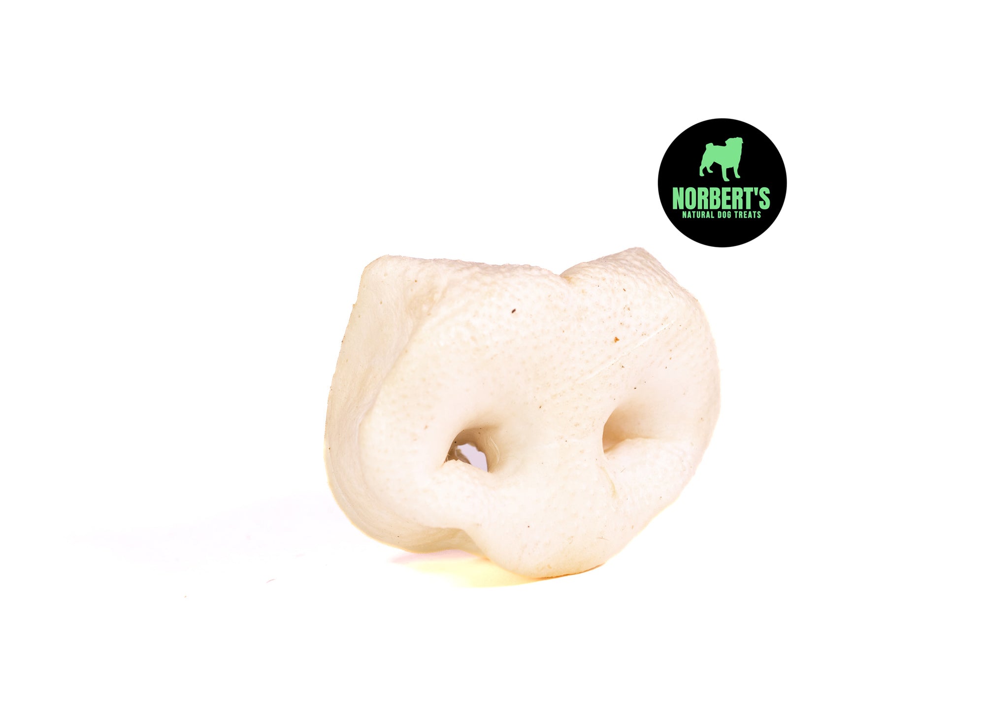 Large Puffed Pig Snout image 0