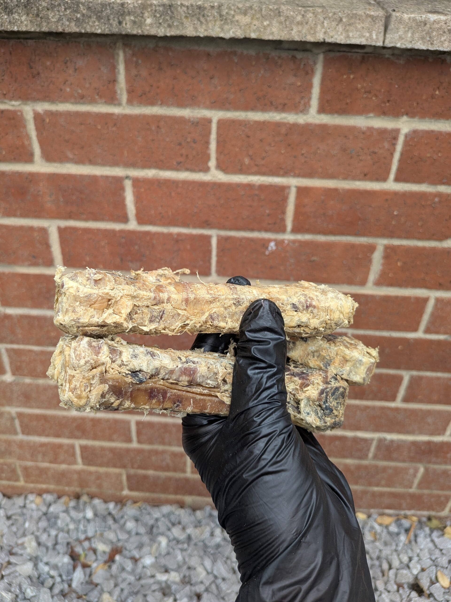 Buffalo Bone image 1