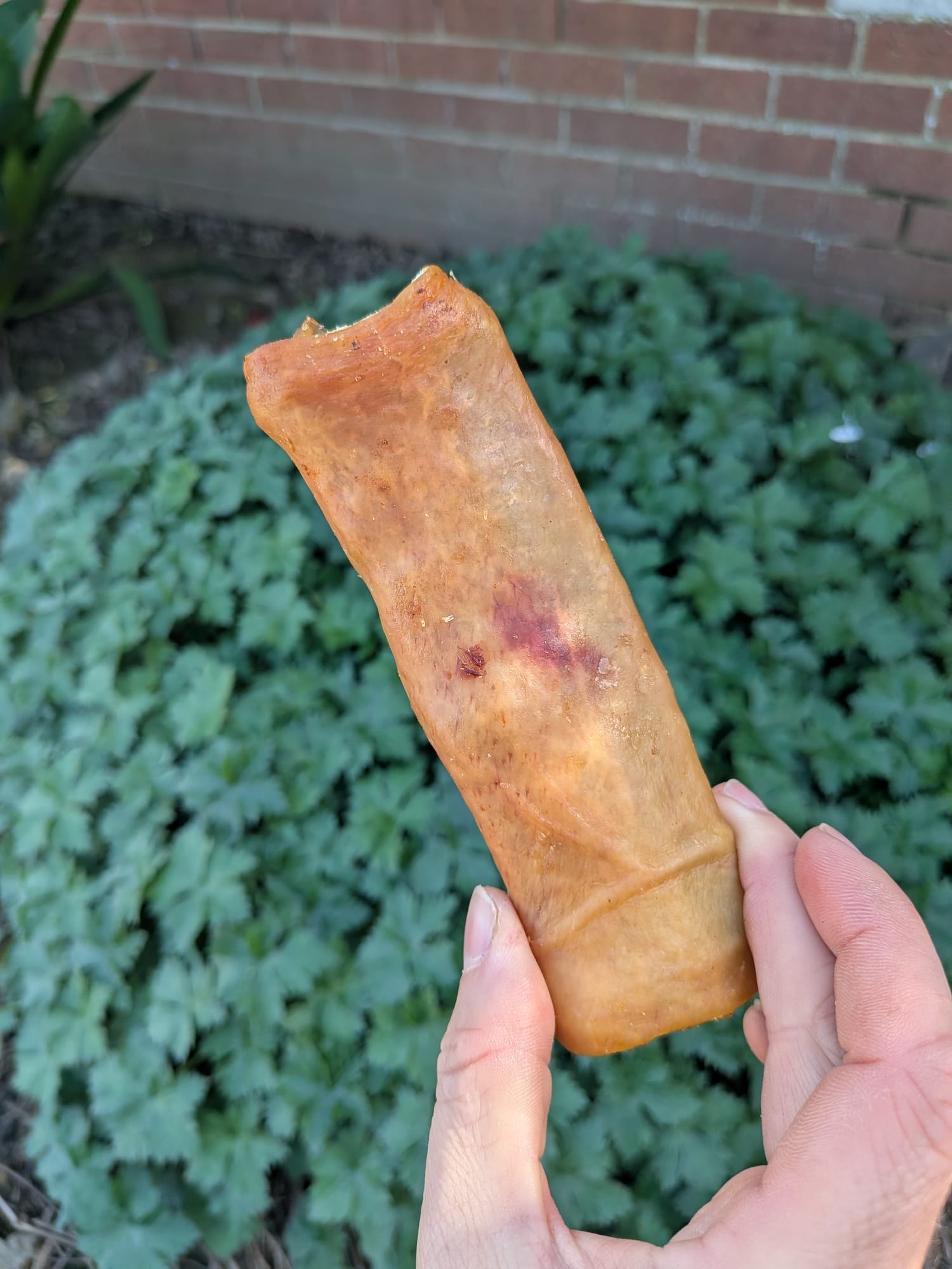 Steak Bake