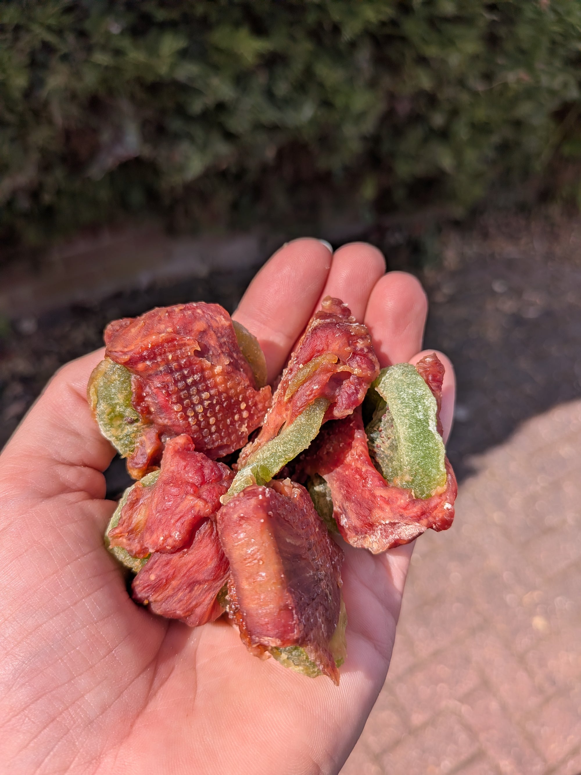 Duck Fillet Kiwi Wraps