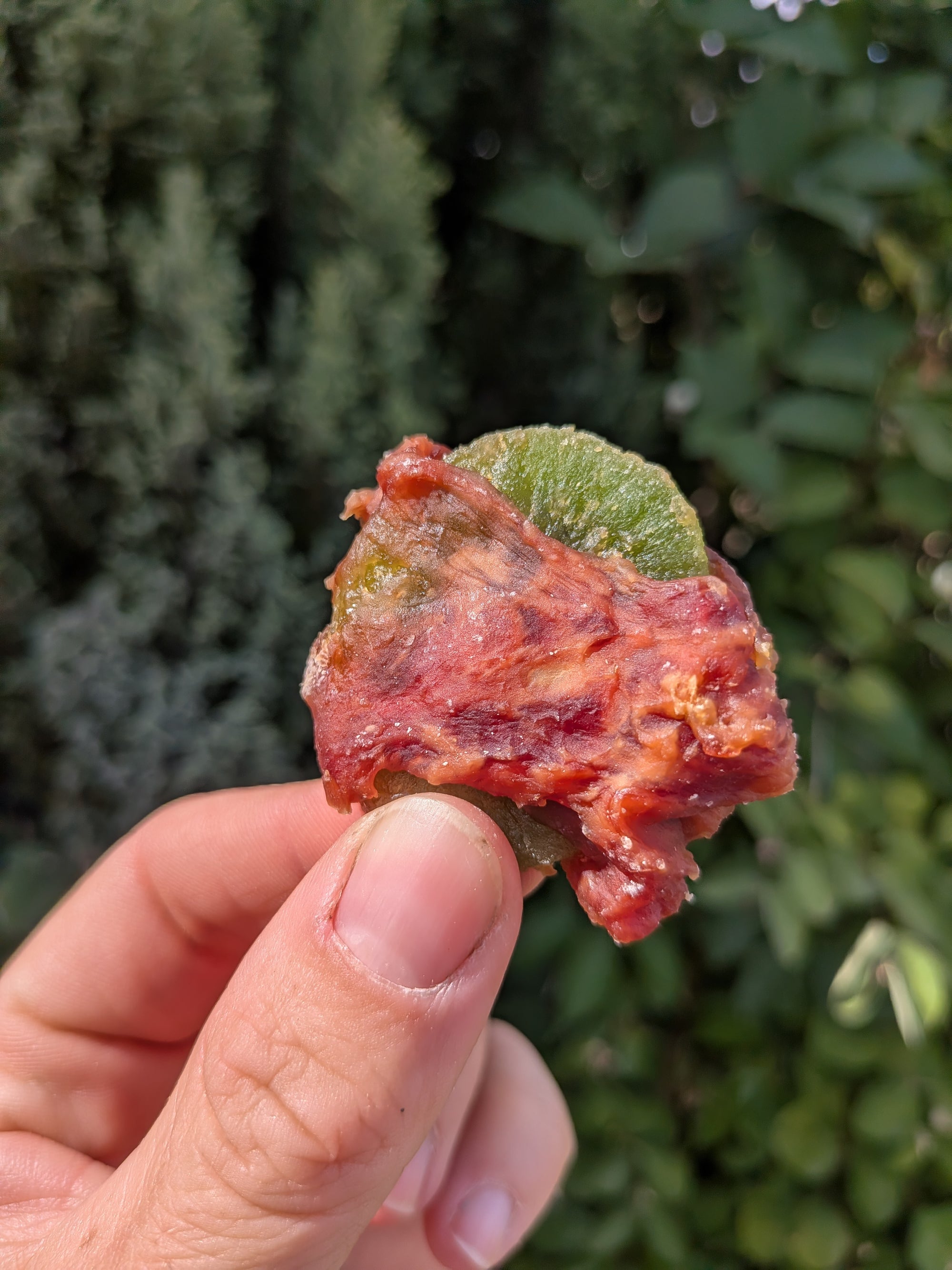 Duck Fillet Kiwi Wraps