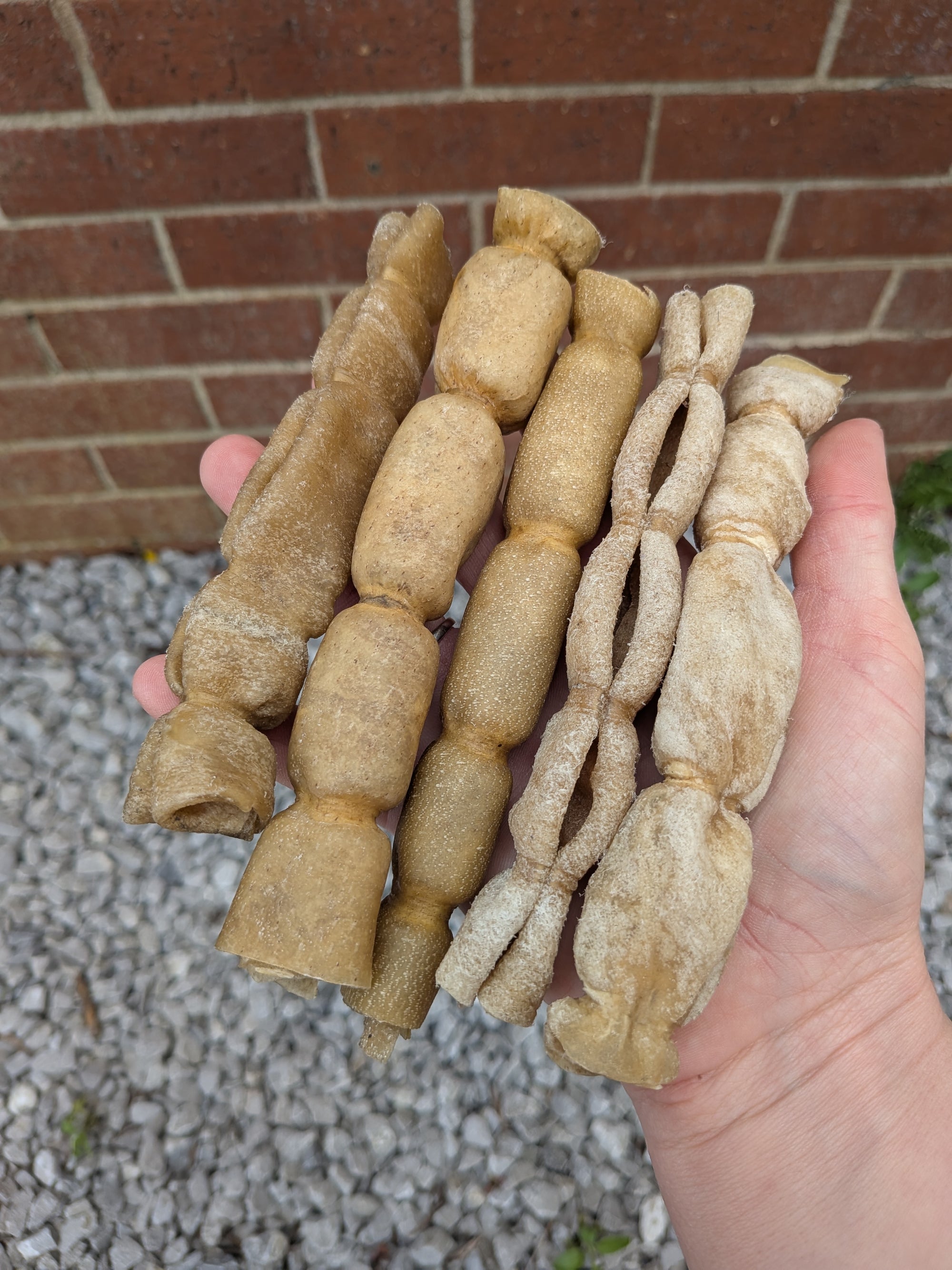 Buffalo Collagen Roll