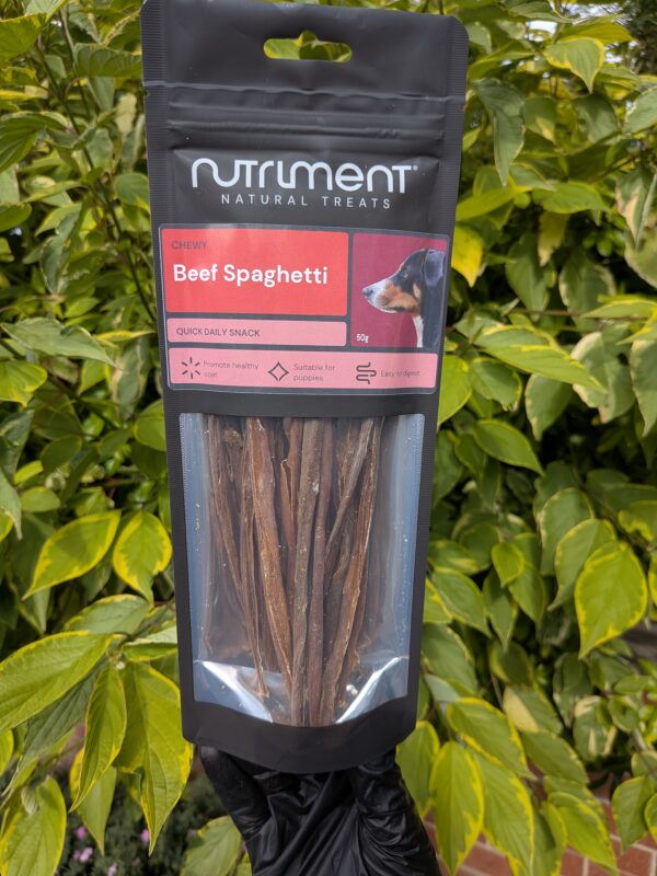 NEW Beef Spaghetti