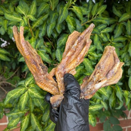 Large Duck Feet (four pack)
