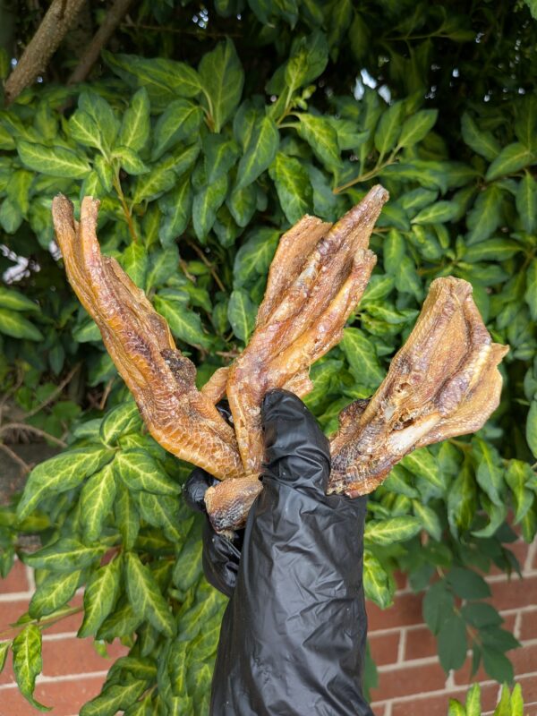 Large Duck Feet (four pack)
