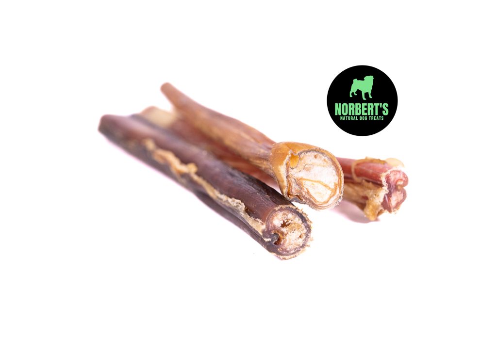 Bully Stick Pizzle 12cm for Dogs Norbert's Natural Dog Treats