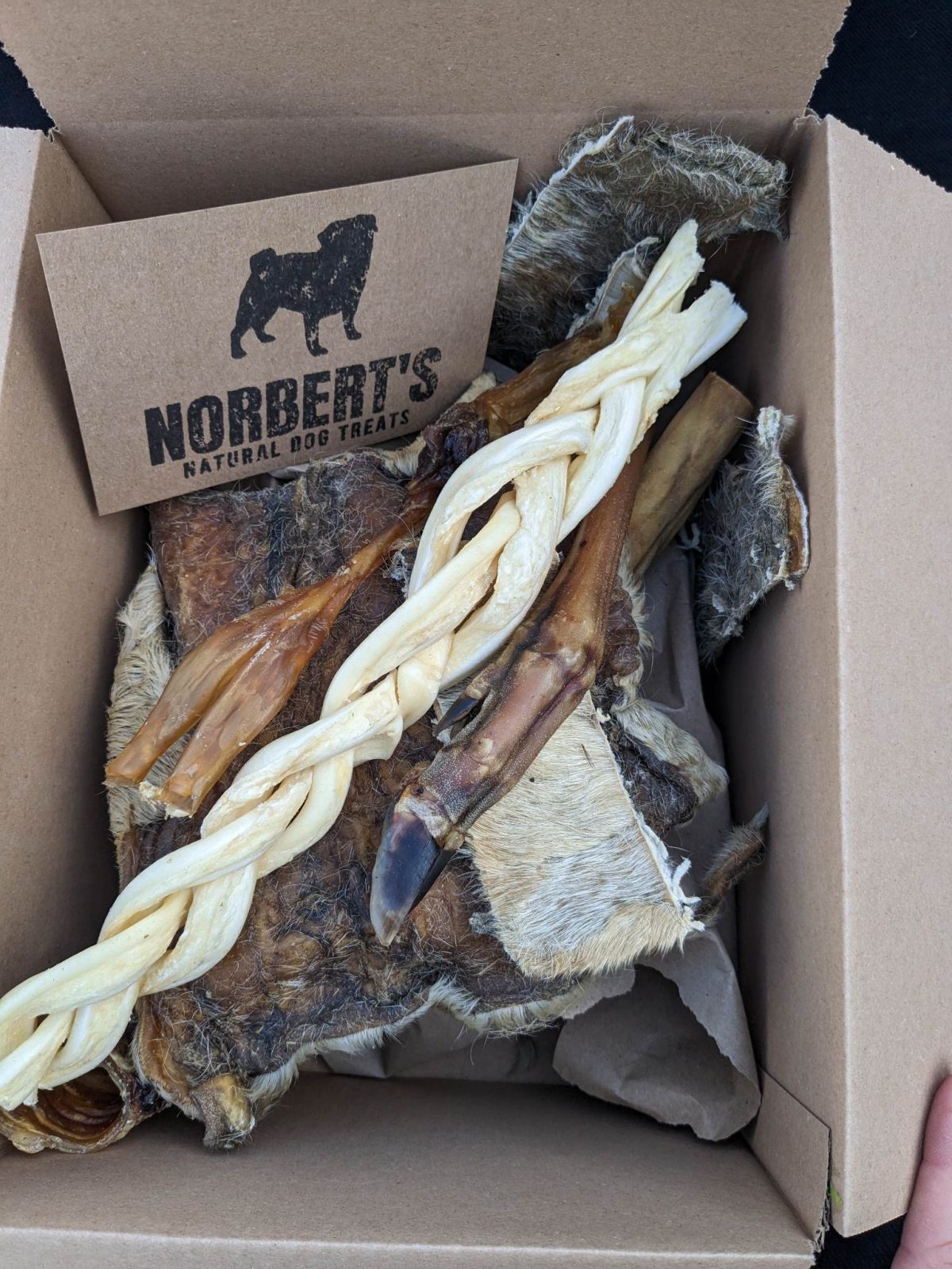 Treat Box for Power Chewers for Dogs Norbert's Natural Dog Treats