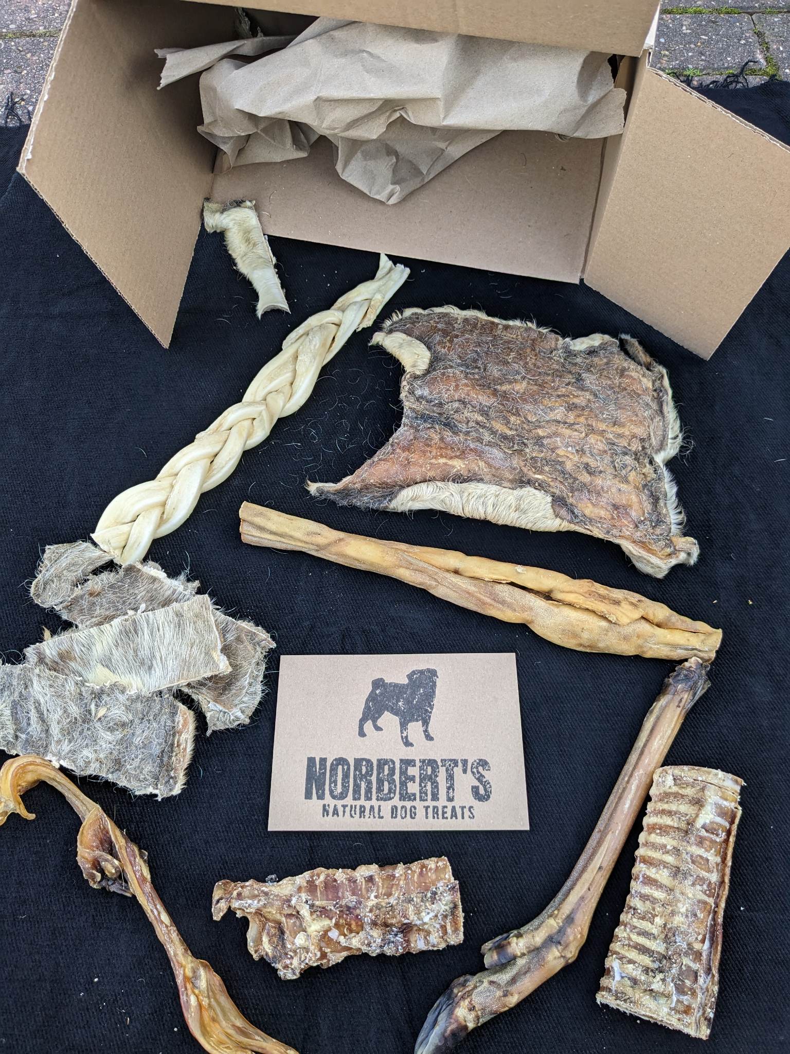 Treat Box for Power Chewers Norbert's Natural Dog Treats