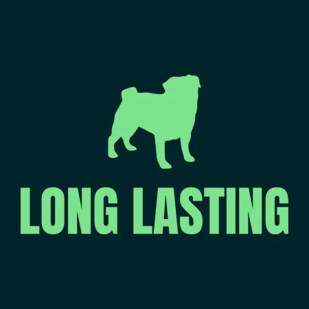 Long Lasting Dog Treats & Chews