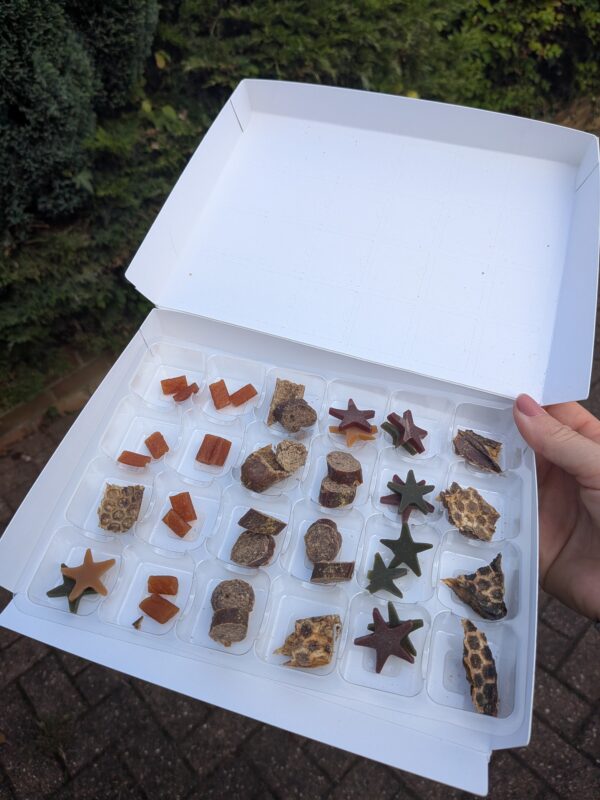 Limited Edition Christmas Advent Calendar For Dogs 2025 - Image 2