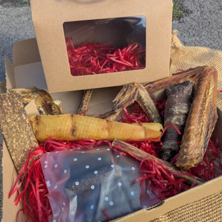 NEW Norbert's Festive Chew Box