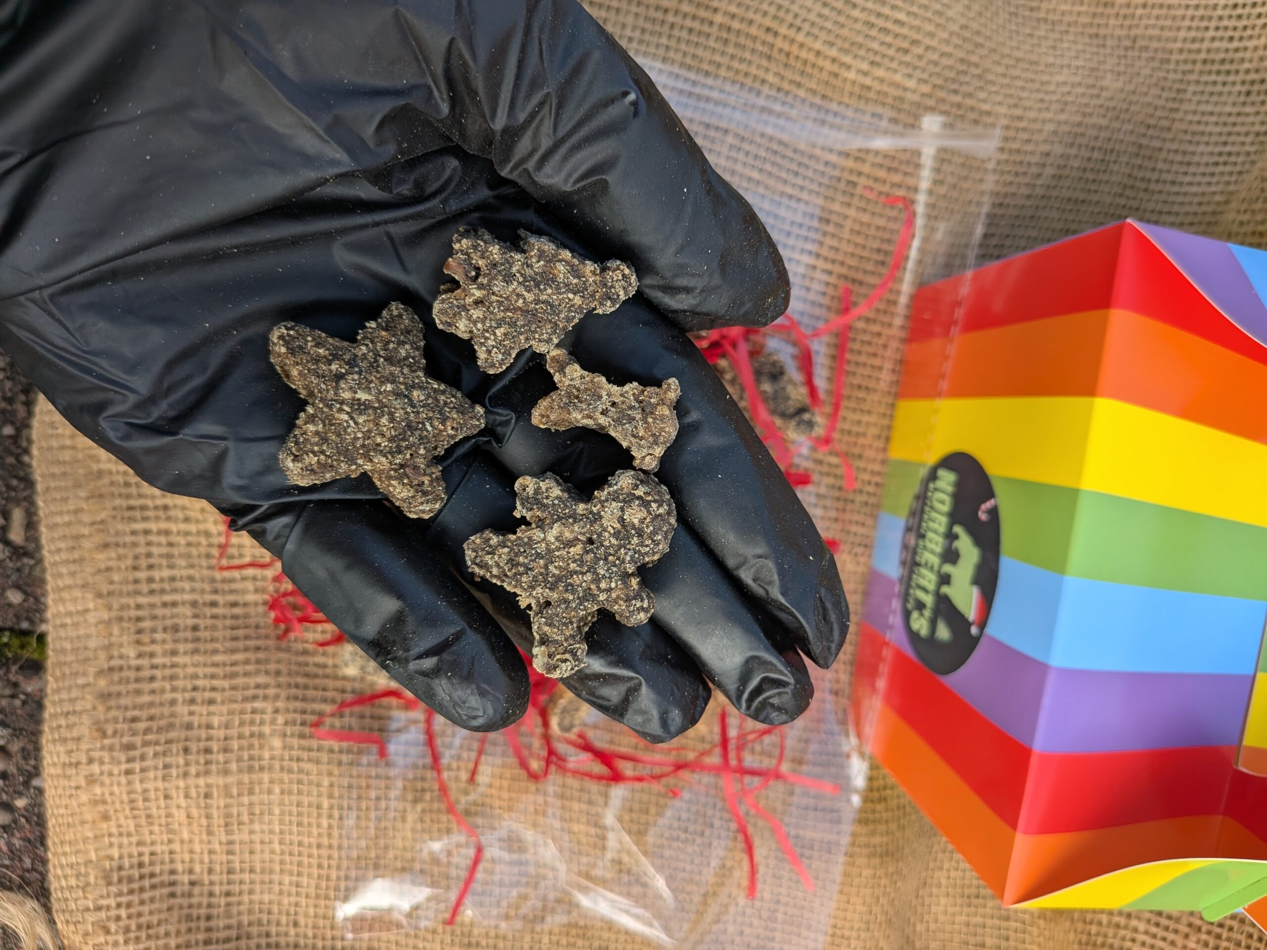 NEW Norbert's Festive Party Box Made Without Chicken - Image 3