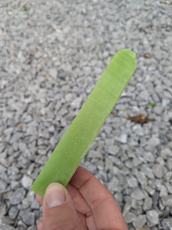 NEW Mint Yak Chew Medium