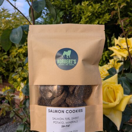 Salmon Cookies
