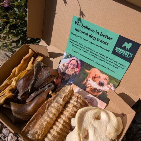 NEW Big Bite Box