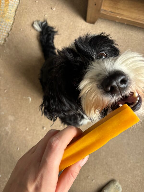 Mango Yak Chew - Image 5