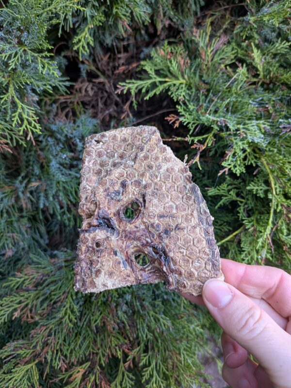 NEW Lamb Jerky - Image 2