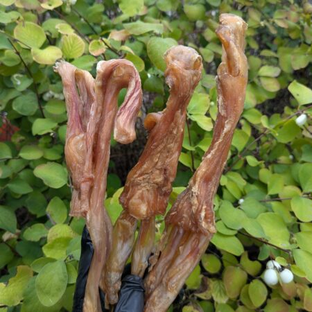 NEW Thick Beef Tendon