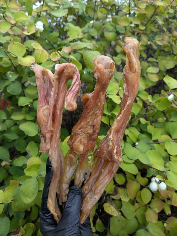 NEW Thick Beef Tendon