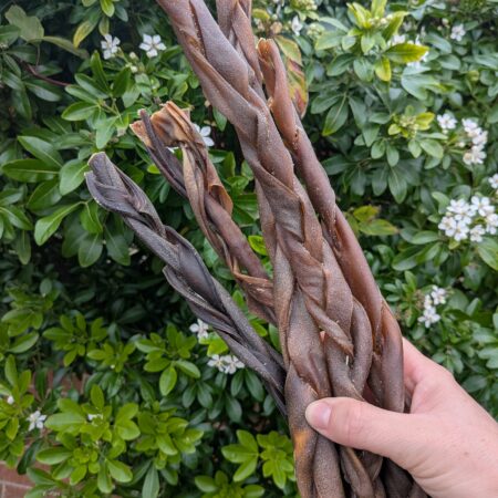 NEW Large Venison Braid