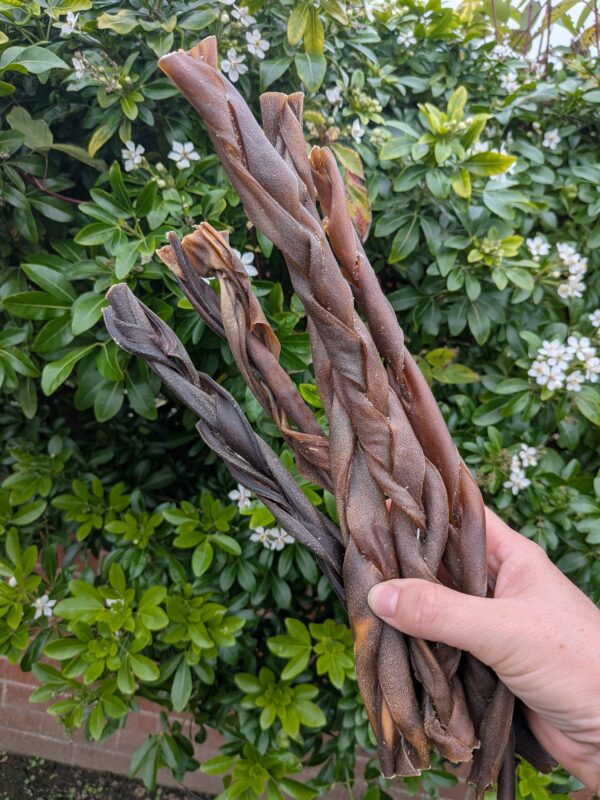 NEW Large Venison Braid